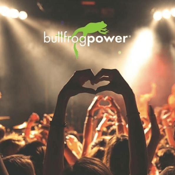 green energy; sustainability; purchasing power; green category